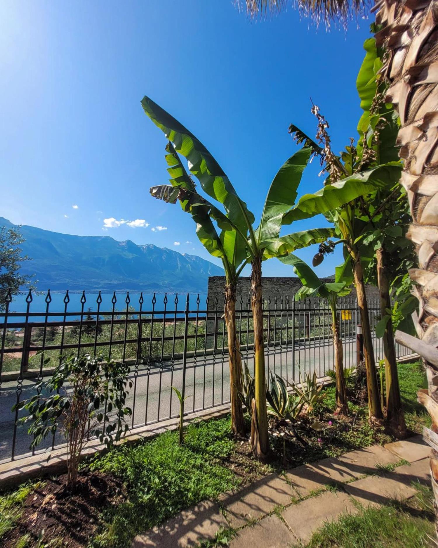 Villa Fior Di Loto Limone sul Garda Esterno foto
