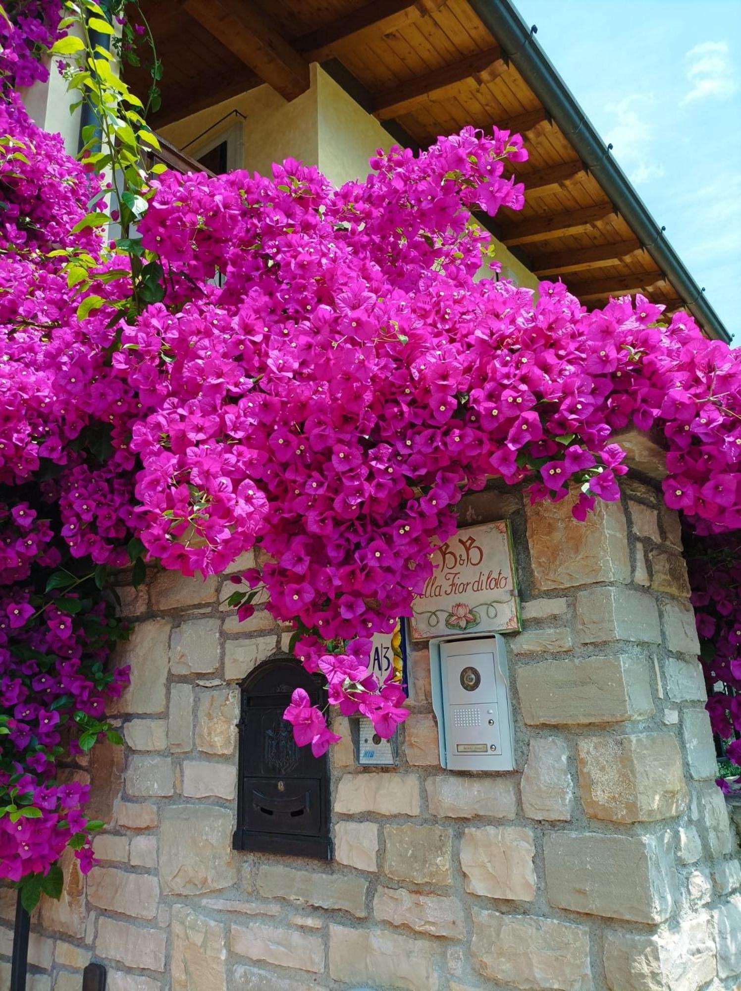 Villa Fior Di Loto Limone sul Garda Esterno foto